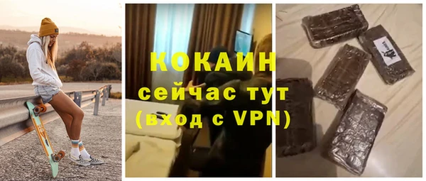 соль ск Богданович