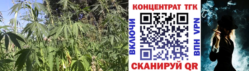Купить где  Липки  ТГК THC oil 