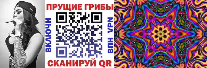 Псилоцибиновые грибы Magic Shrooms  Купить закладки  Липки 